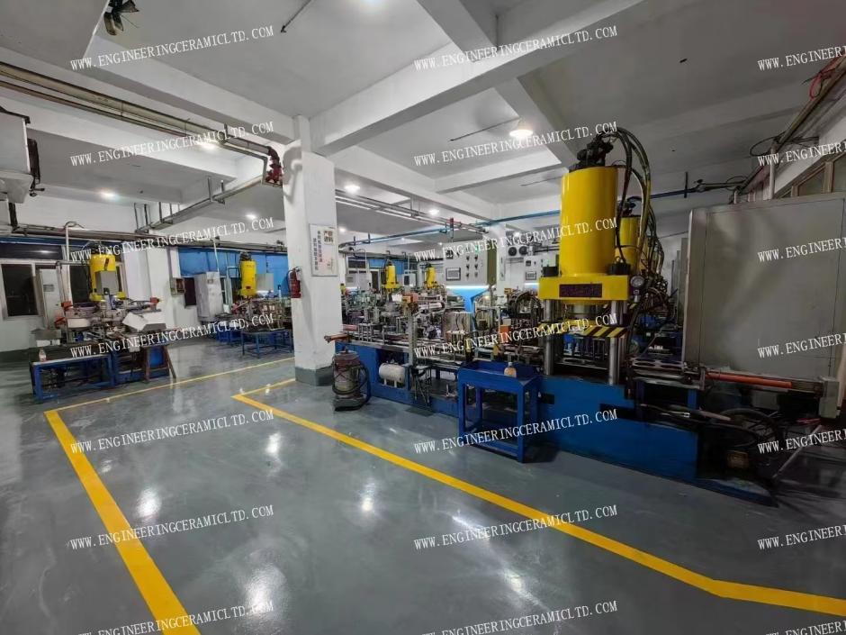 घोड़े का वर्ष मनाना!